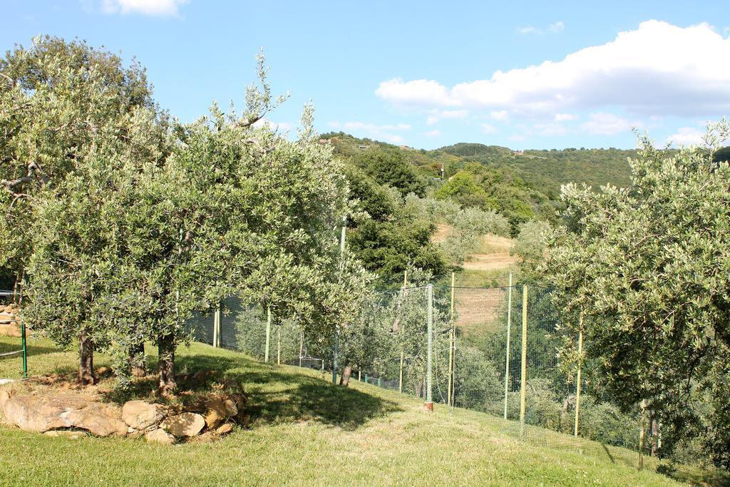 Agriturismo Malagronda Ravigliano エクステリア 写真